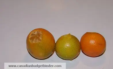 baby-tangerines-wm