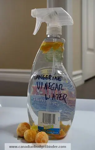 tangerine-vinegar-water-wm