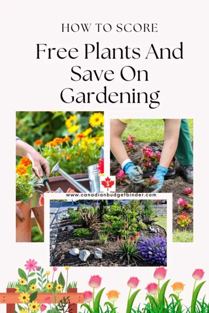 HOW-TO-SCORE-FREE-PLANTS-AND-SAVE-MONEY-ON-GARDENING-IN-CANADA-720x1080