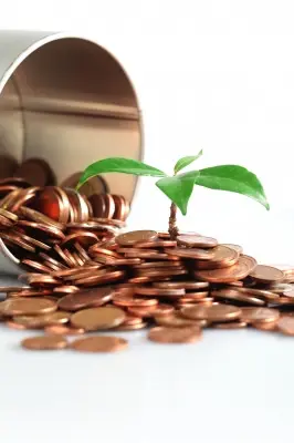 high-net-worth-money-grows