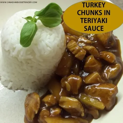 Turkey Chunks In Teriyaki Sauce