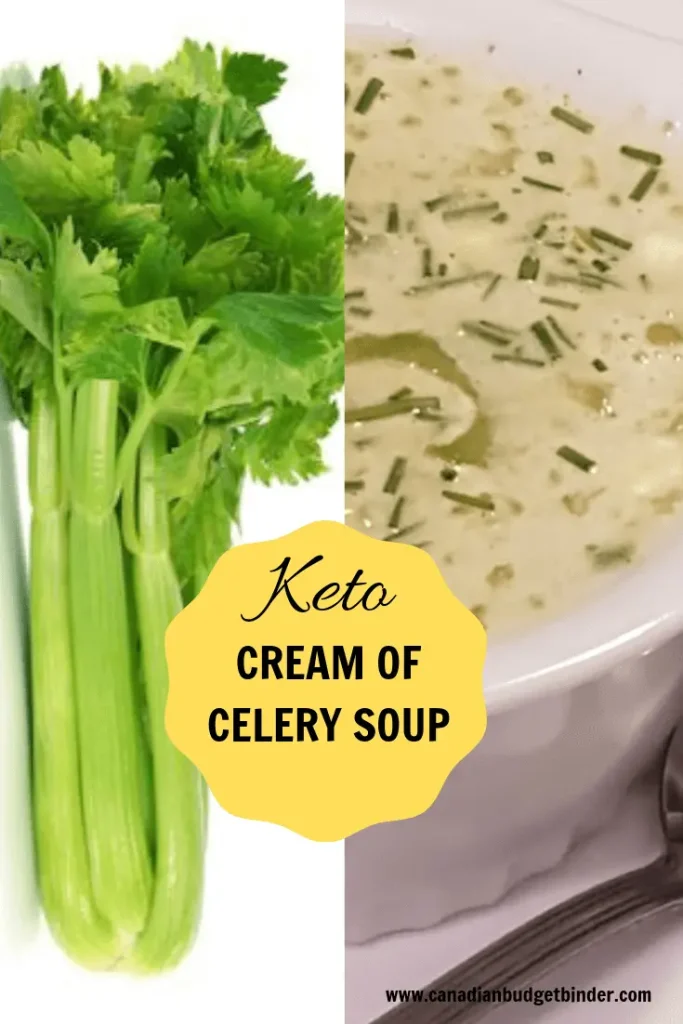 Keto CREAM OF CELERY SOUP