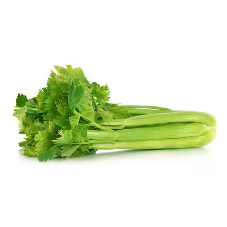 What is celery. A stalk of green celery