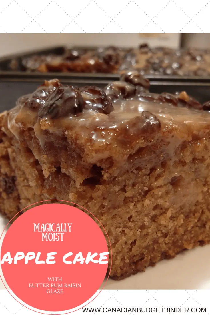 MAGICALLY-MOIST-APPLE-CAKE-PINTEREST
