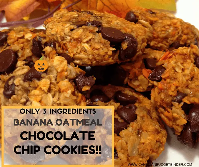 the-easiest-banana-oatmeal-chocolate-chip-cookies-ever-3-ingredients
