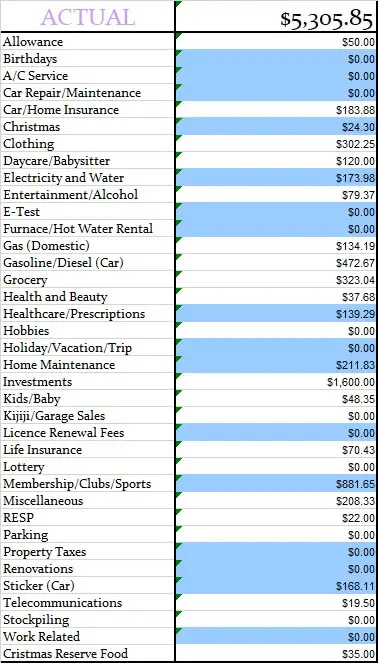 January 2018 Actual Monthly Budget