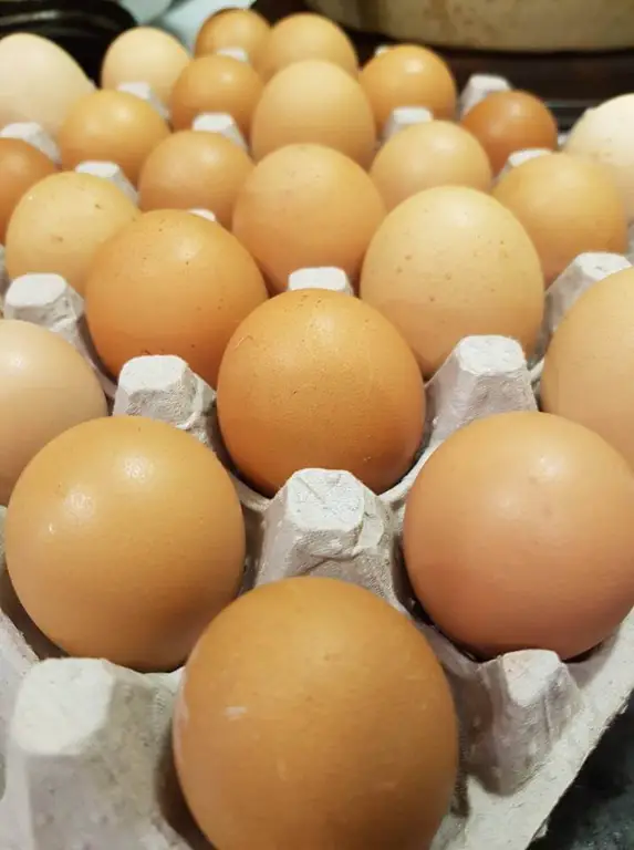 farm eggs