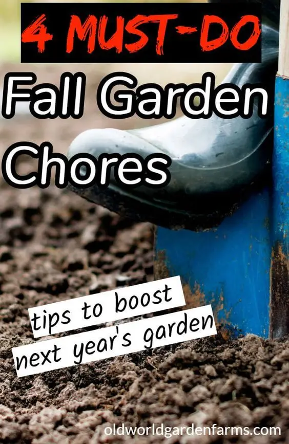 fall garden chores