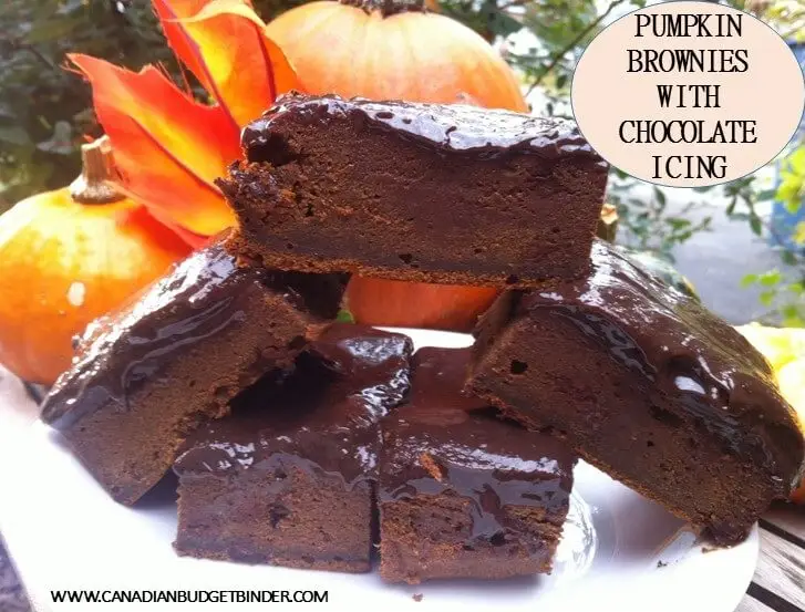PUMPKIN BROWNIES WITH CHOCOLATE ICING