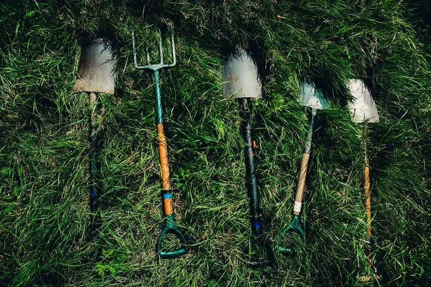 gardening