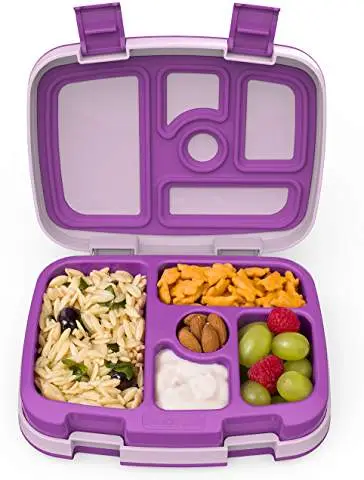 Bentgo lunch box