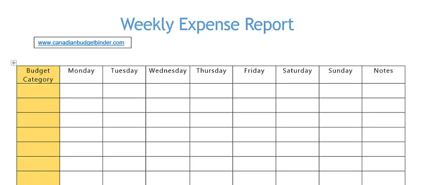 weekly-expense-report-snapshot
