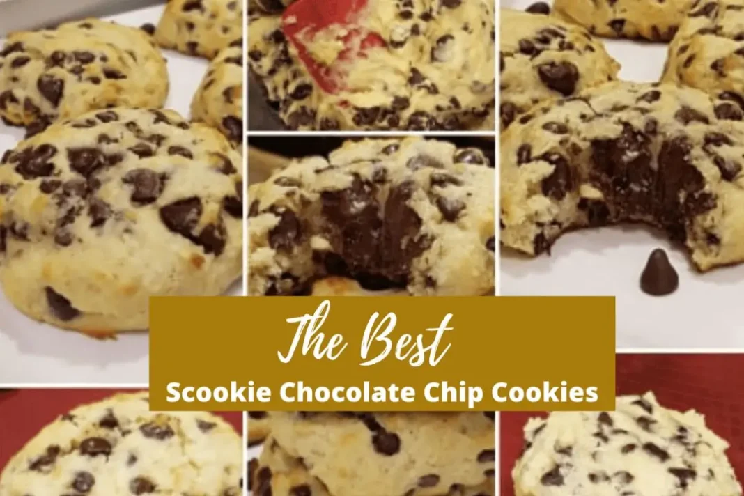 Scookies Chocolate Chip Cookies