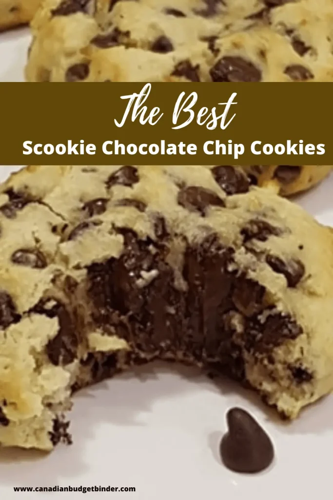Scookies Chocolate Chip Cookies