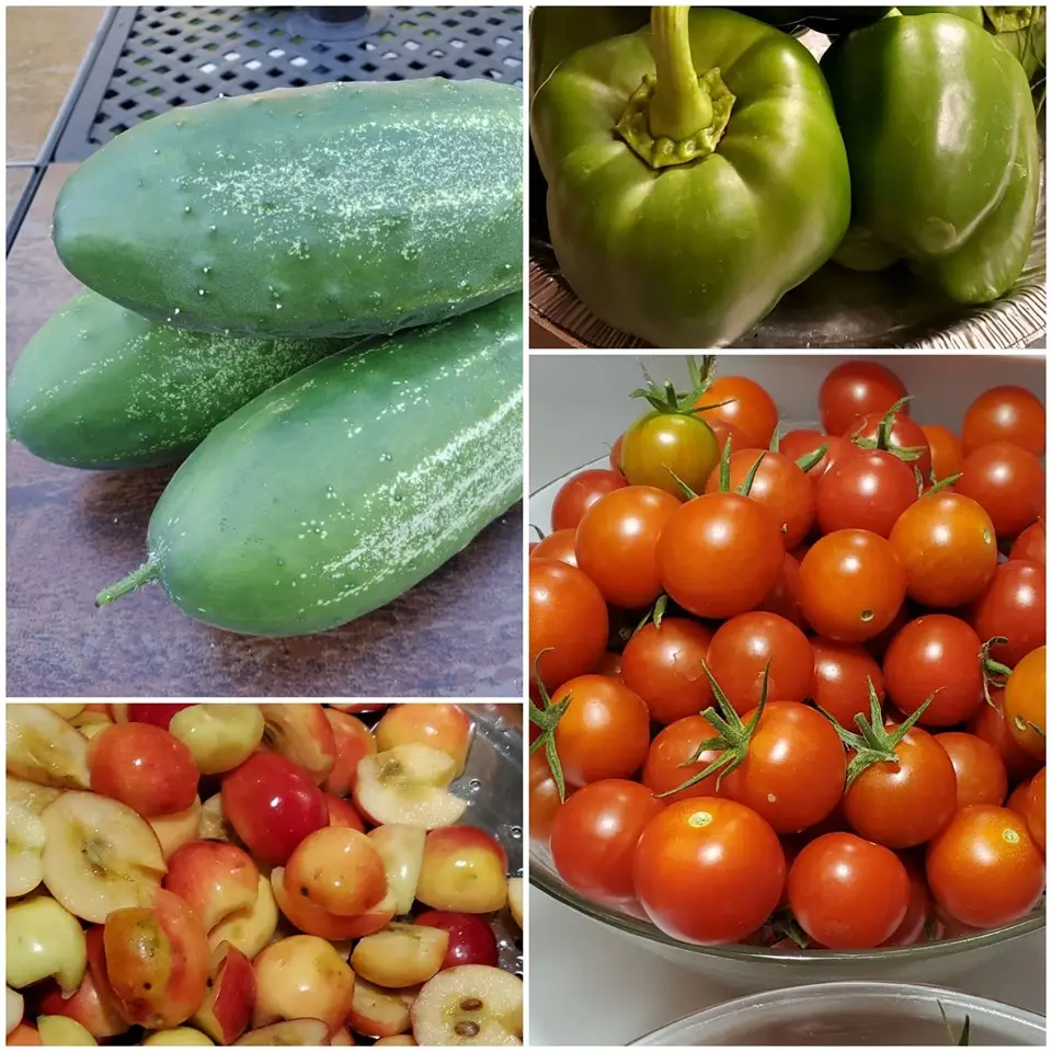 organic garden vegetables How to garden and save money