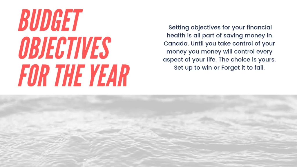 budget Objectives for the Year